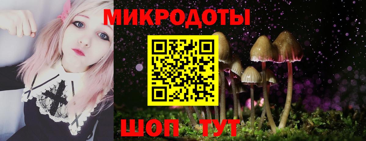 Галлюциногенные грибы мицелий Ревда